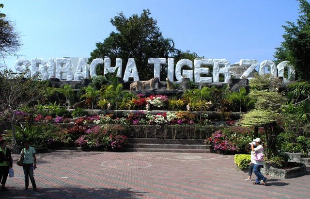 Sriracha Tiger Zoo